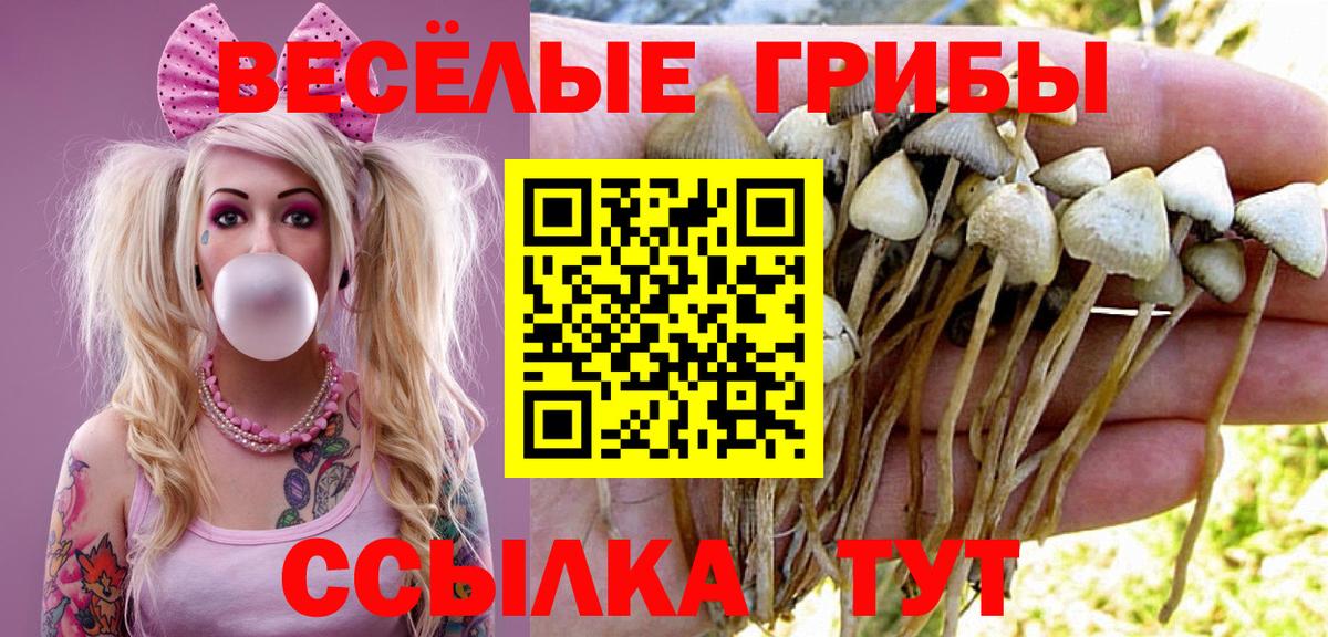 Касимов  Псилоцибиновые грибы прущие грибы  Вход с VPN 