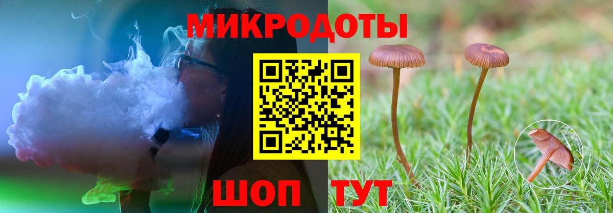 Псилоцибиновые грибы мухоморы Касимов